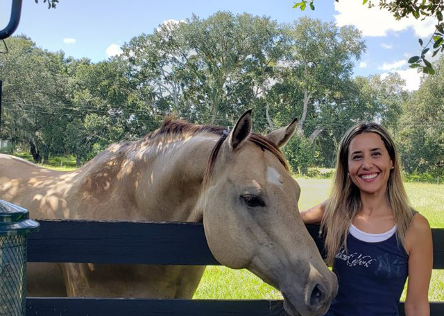 horse in the villages